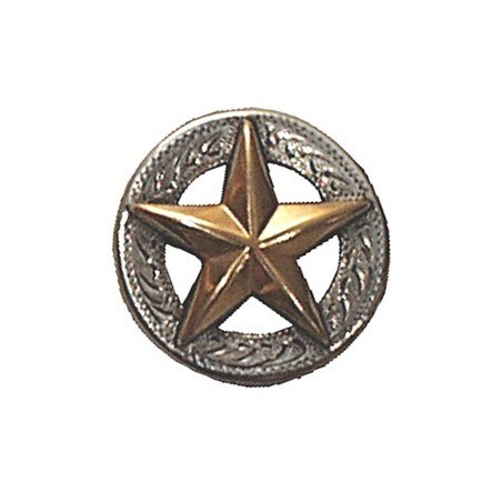 2526 Kultainen tähti